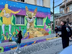 Street_Art_Valparaiso_Tour_T4T_1