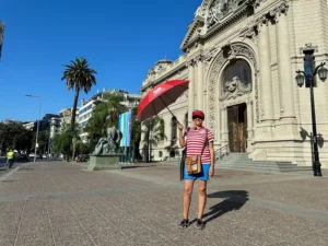 T4T-Stgo-Meeting-Point-Bellas-Artes (1)